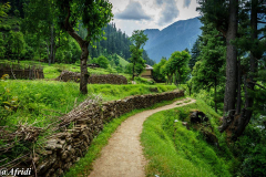 Dawarian-Neelum-Valley