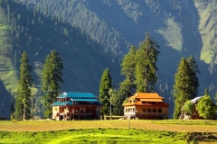 Nature-and-Landscapes-Neelum-Valley-Pakistan-2875