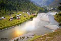 kashmir-sardari