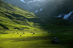 Shounter_Valley_-_Azad_Kashmir